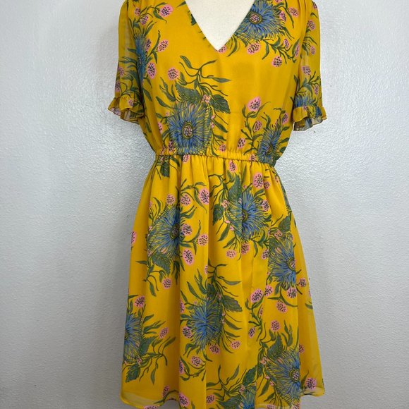 Madewell Sweetgrass Ruffle Sleeve Dress in Painted Blooms Size 8 - Picture 4 of 9